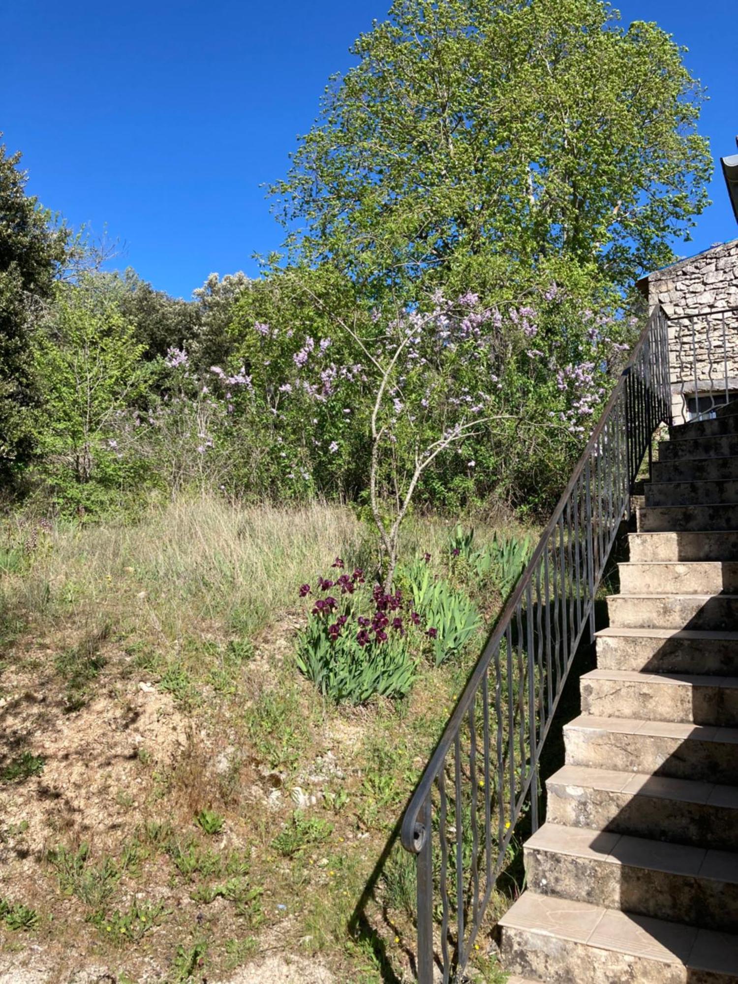 Maison Au Colorado Provencal Villa Rustrel Dış mekan fotoğraf