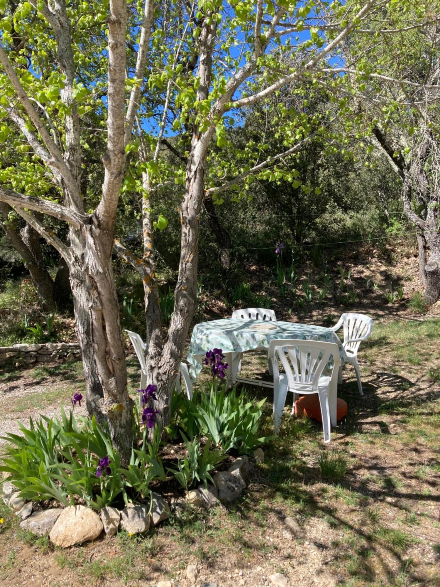 Maison Au Colorado Provencal Villa Rustrel Dış mekan fotoğraf