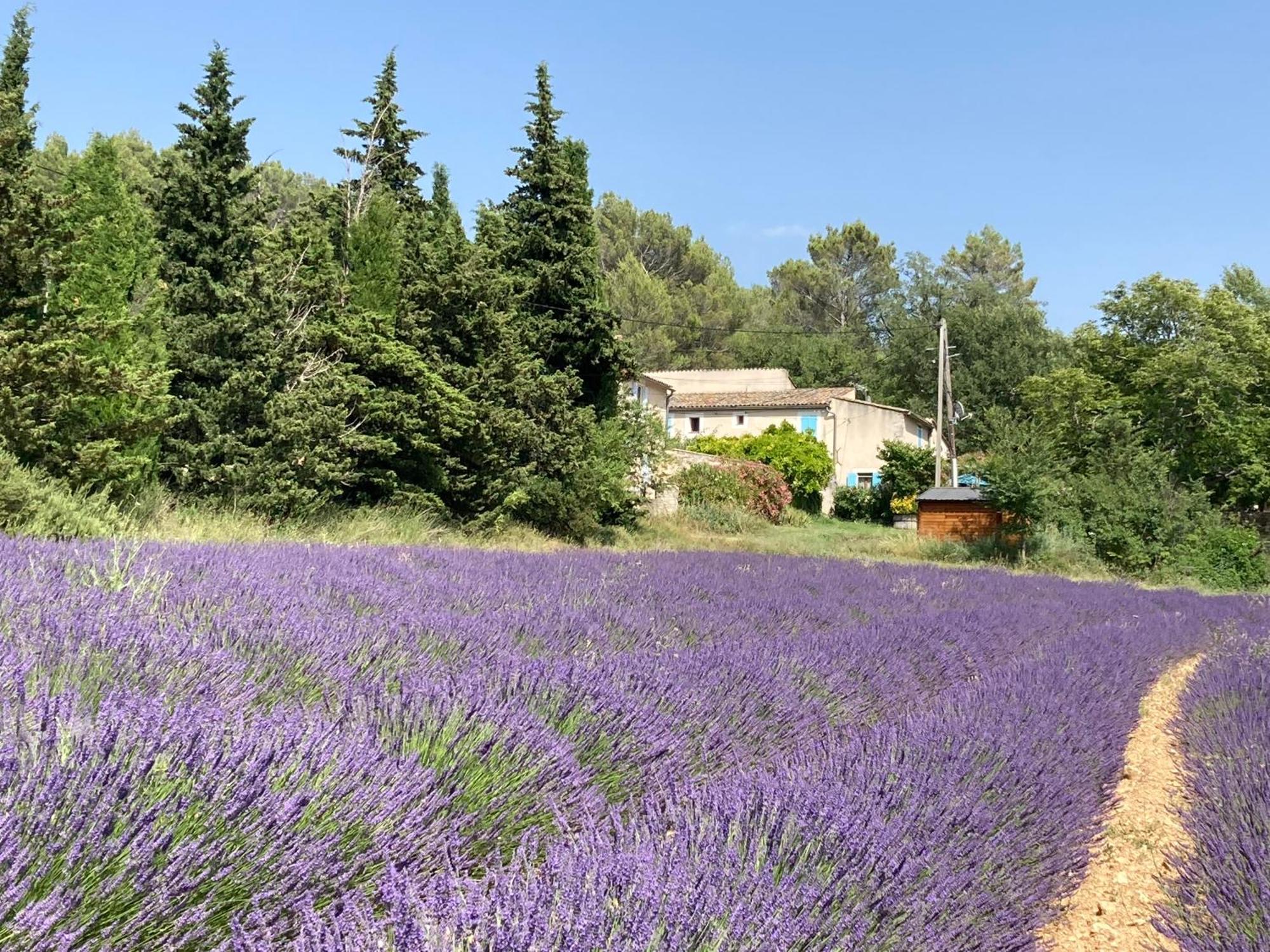 Maison Au Colorado Provencal Villa Rustrel Dış mekan fotoğraf